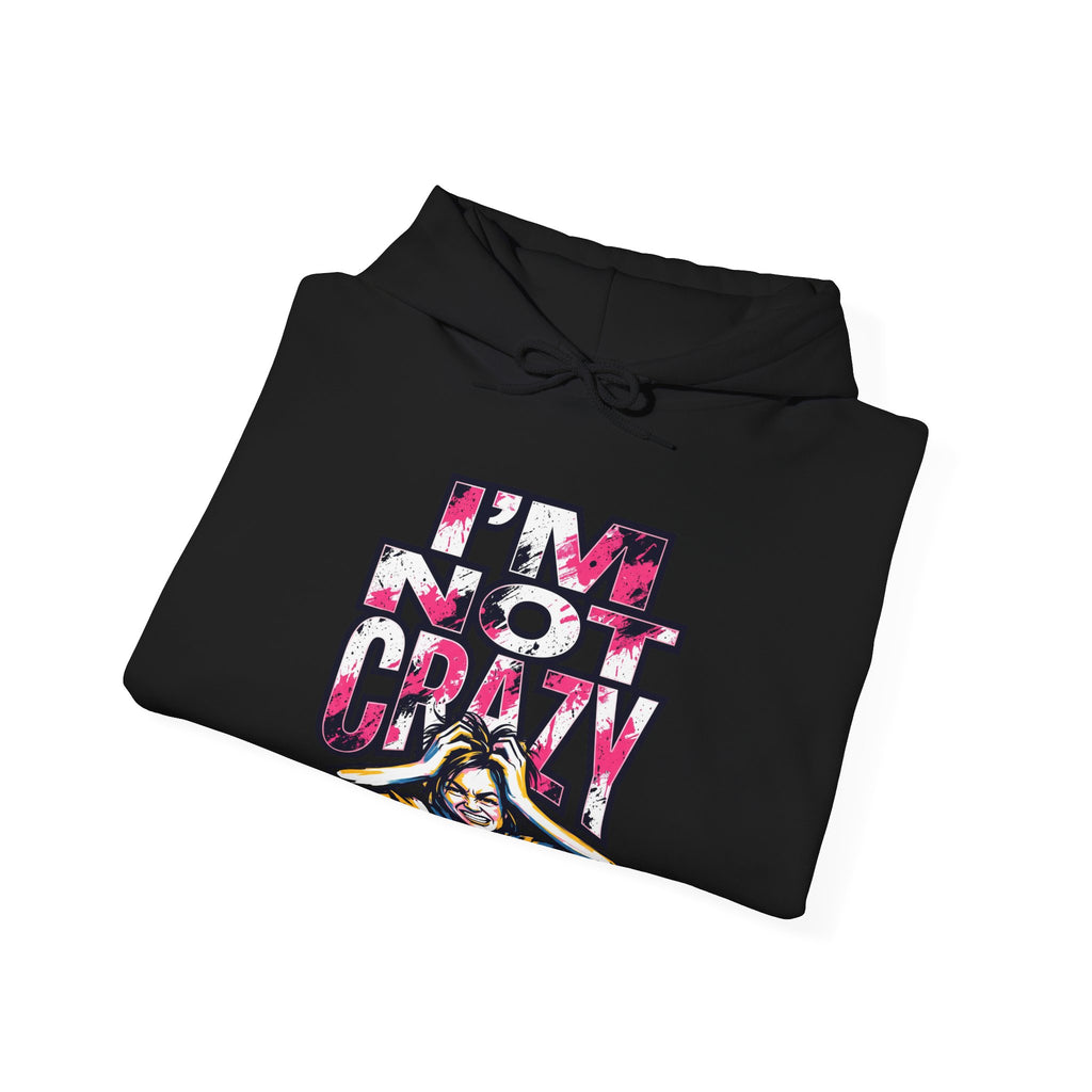 I'm Not Crazy Hoodie | Funny Sarcastic Statement Graphic Sweatshirt