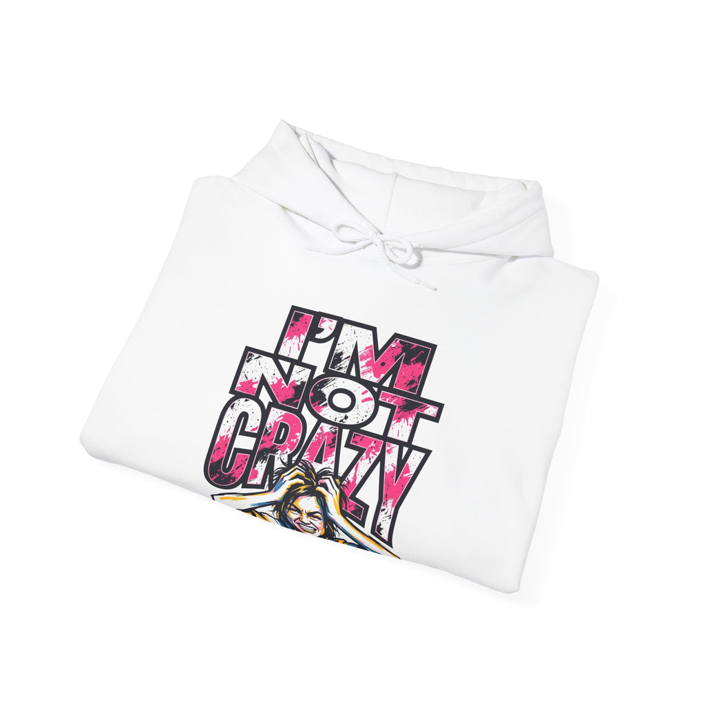 I'm Not Crazy Hoodie | Funny Sarcastic Statement Graphic Sweatshirt