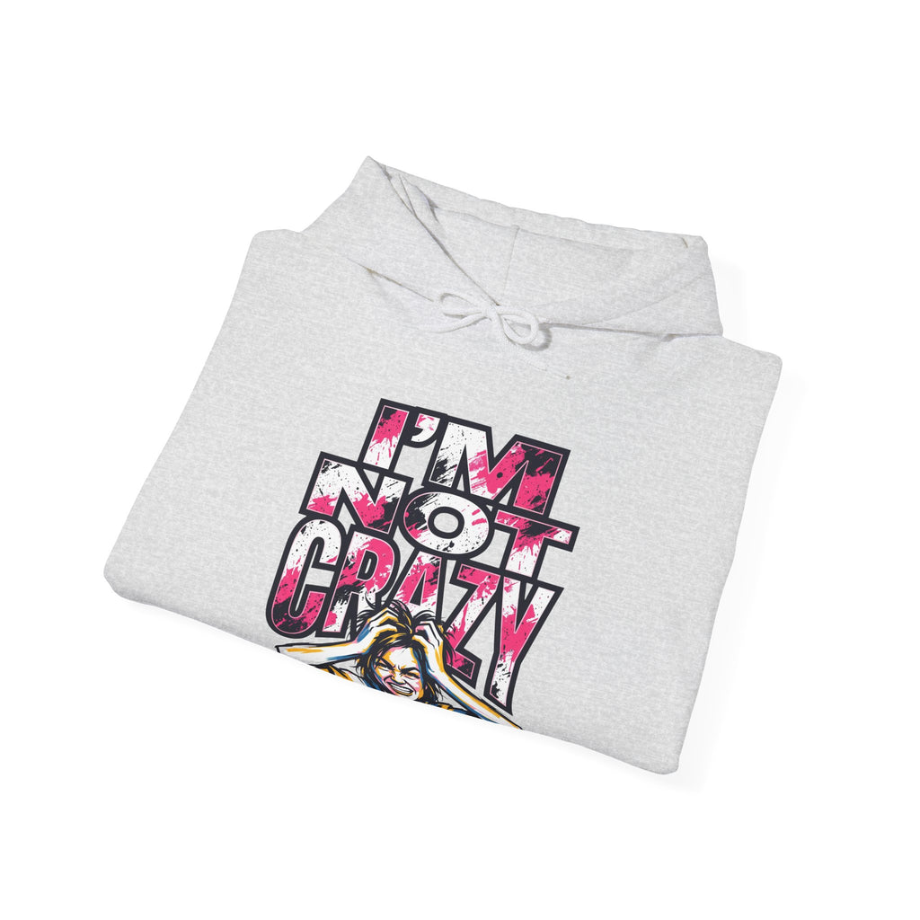 I'm Not Crazy Hoodie | Funny Sarcastic Statement Graphic Sweatshirt