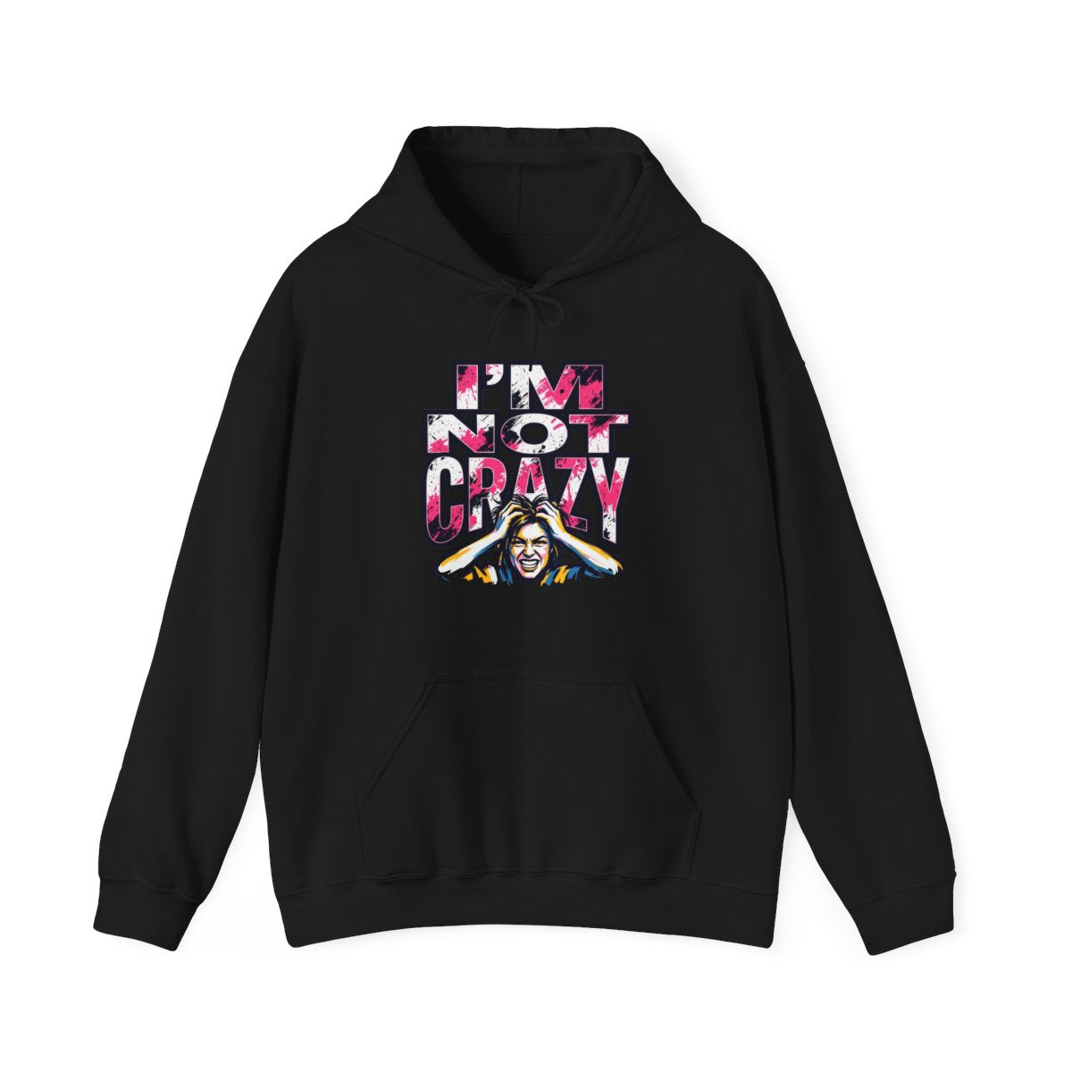 I'm Not Crazy Hoodie | Funny Sarcastic Statement Graphic Sweatshirt