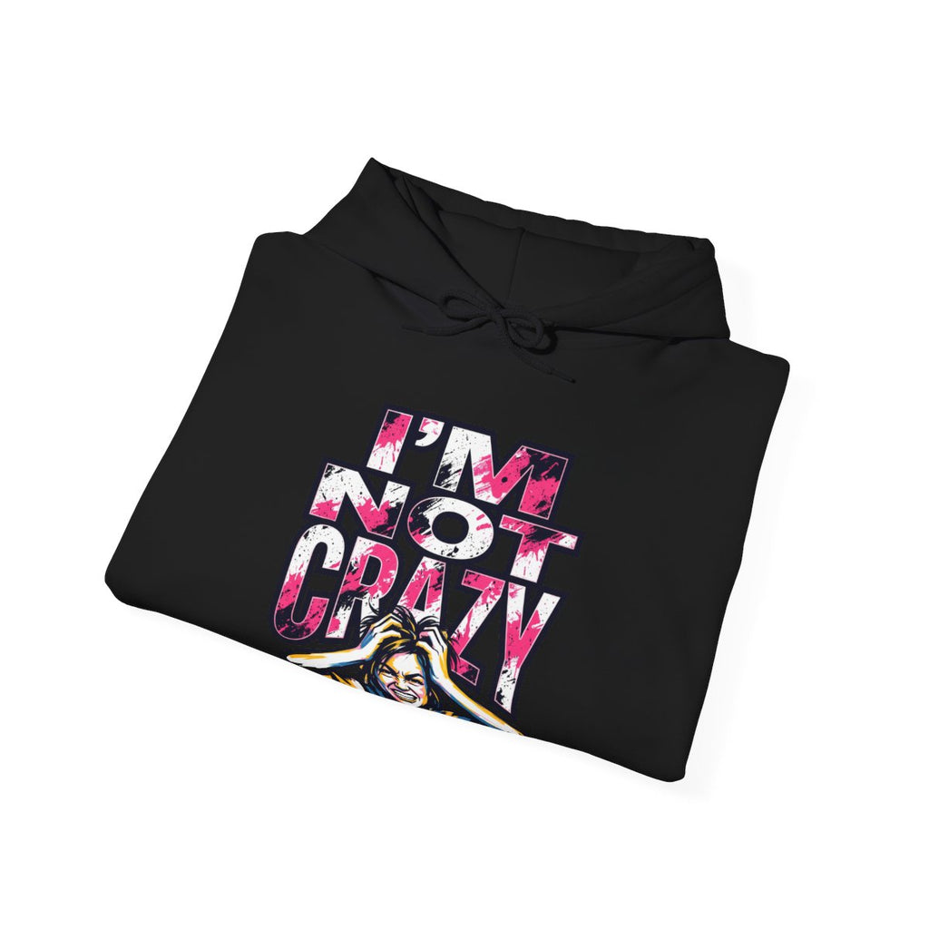 I'm Not Crazy Hoodie | Funny Sarcastic Statement Graphic Sweatshirt