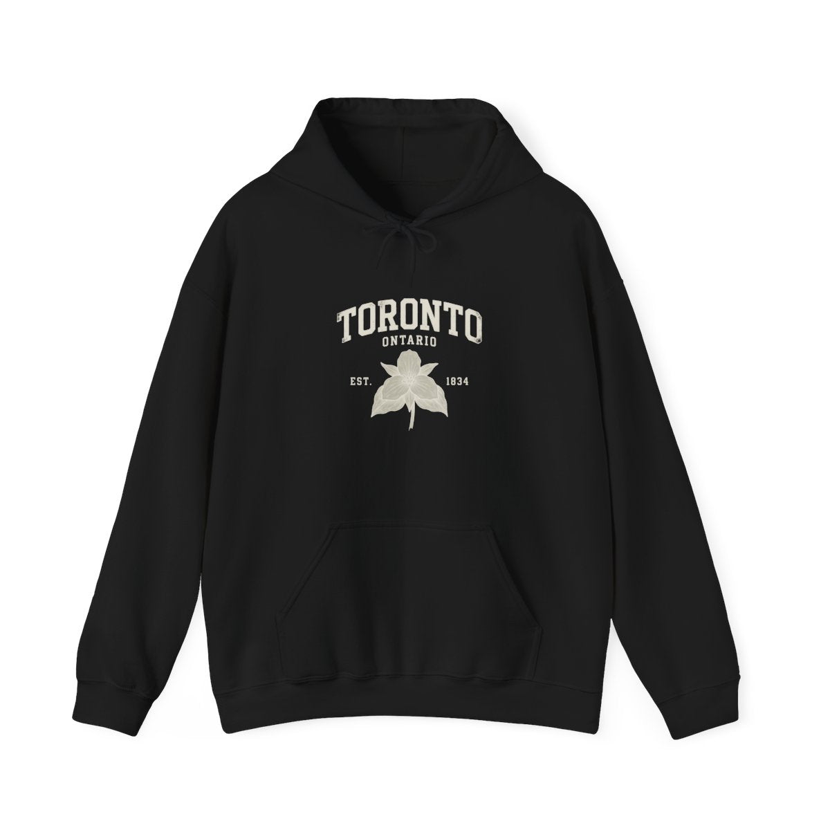 Toronto Ontario Hoodie | Vintage Collegiate, EST 1834